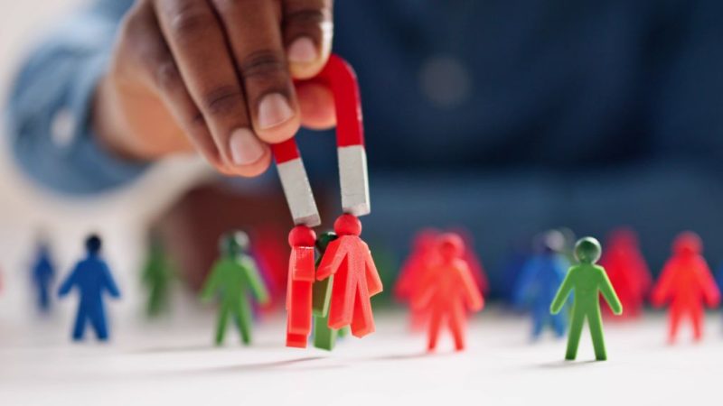 lead management